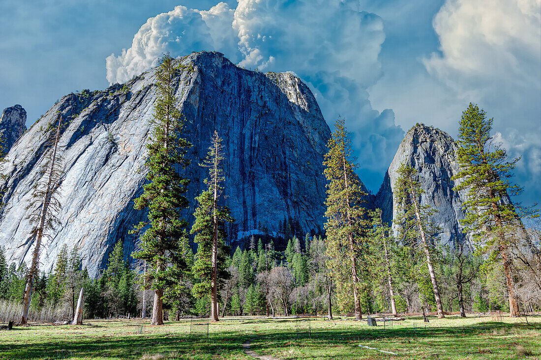 El Capitan in Springtime in Yosemite National Park