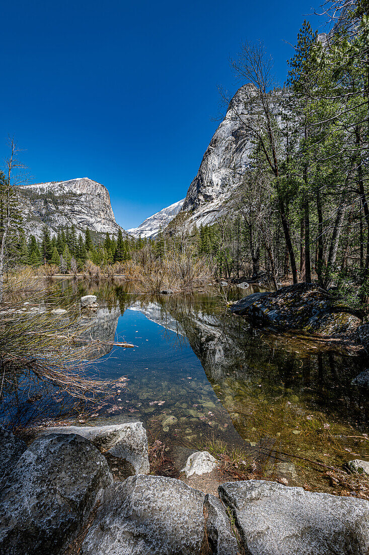 Springtime around Mirror Lake in Yosemite National Park