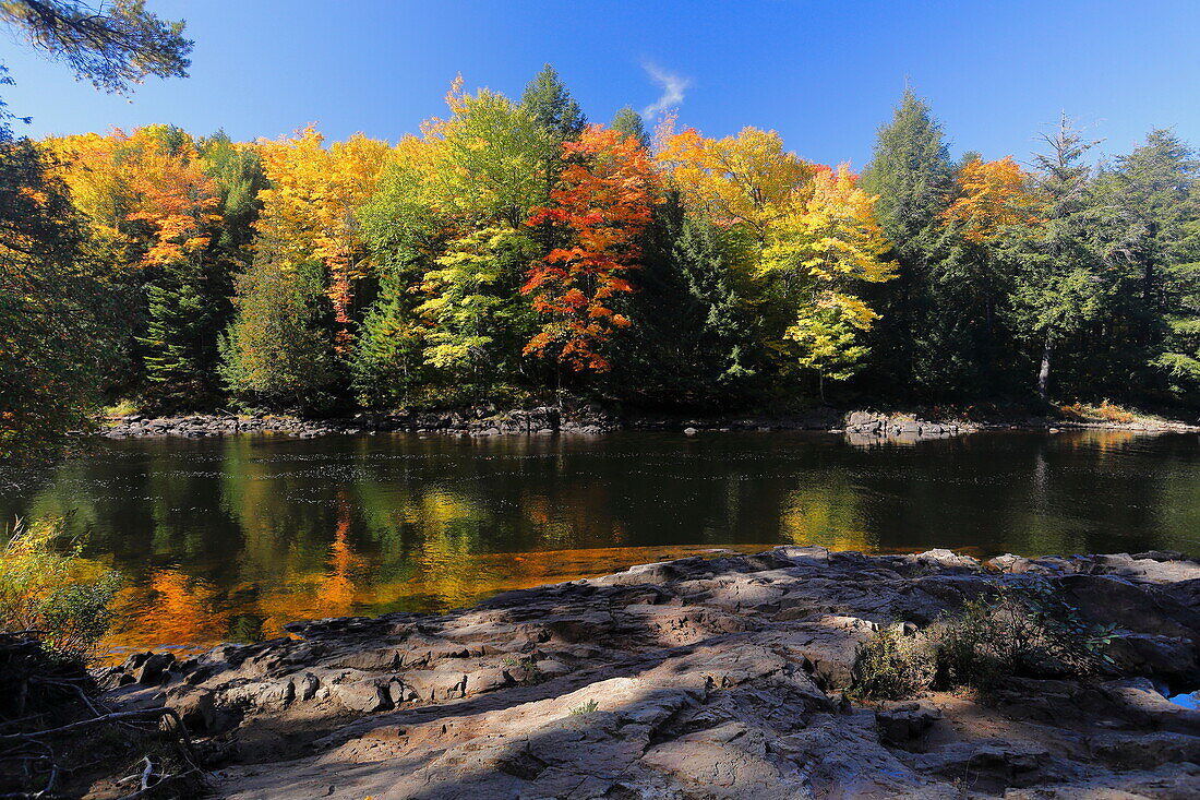 Dorwin Falls, Fluss und Wald, Rawdon, Quebec, Kanada