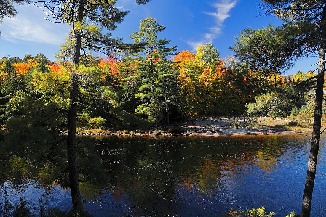 Dorwin Falls, Fluss und Wald, Rawdon, Quebec, Kanada