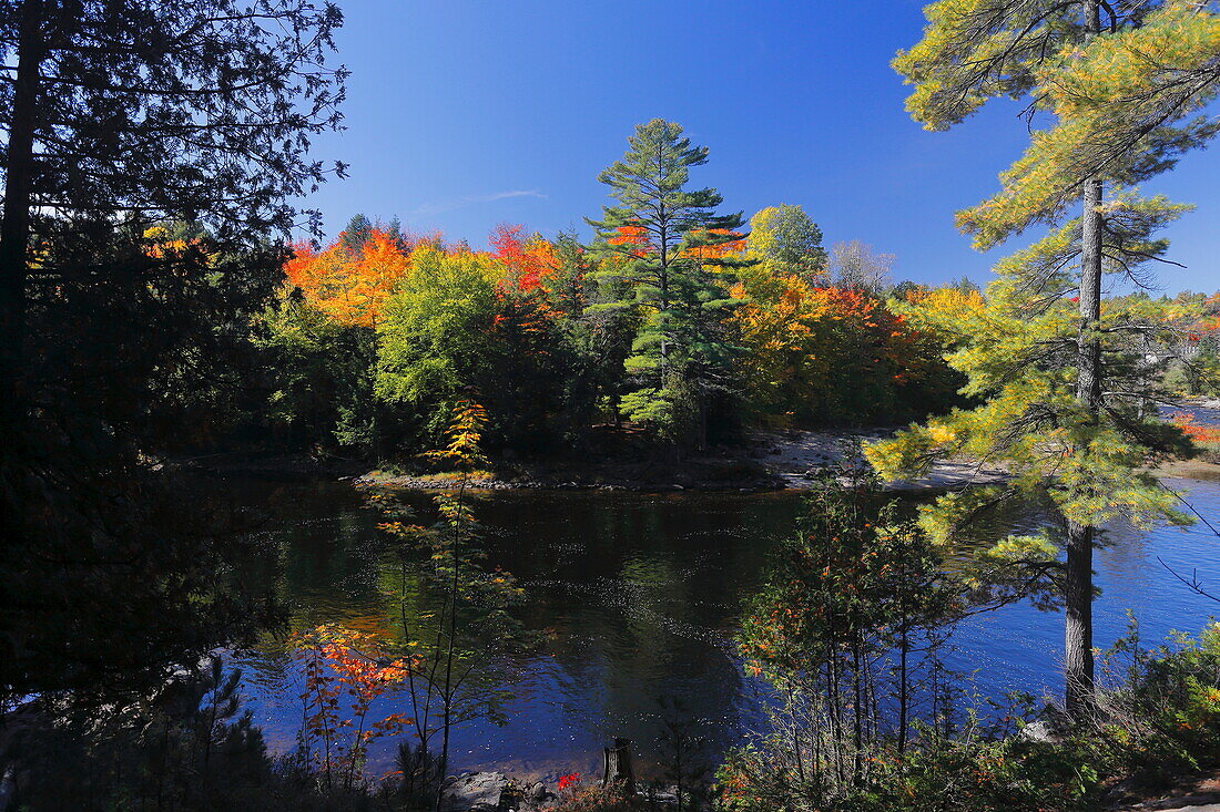 Dorwin Falls, River and Forest, Rawdon, Quebec, Canada