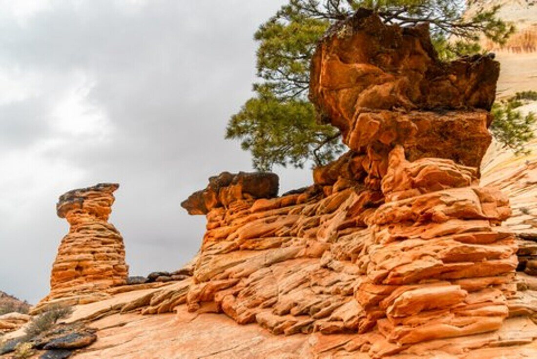 Eroded rock formations in the landscape of the Zion National Park in Utah, USA.