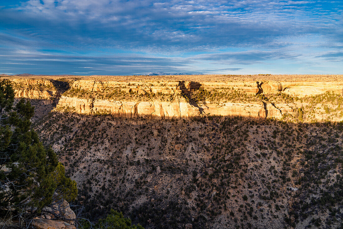 Blick auf den Mesa-Verde-Nationalpark, Colorado, USA