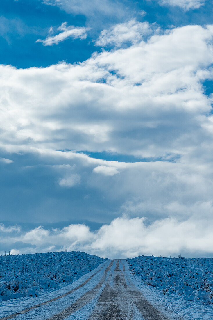 Vereiste Straße, die durch eine verschneite Wüstenlandschaft in Utah führt.