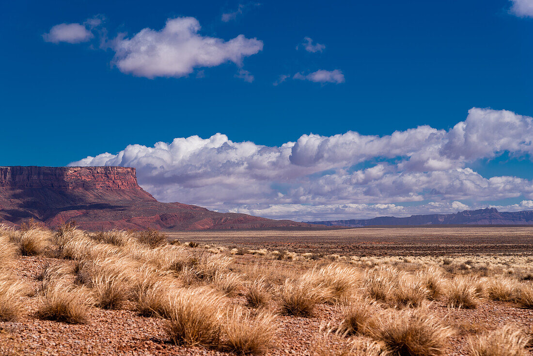 Arizona desert landscape.