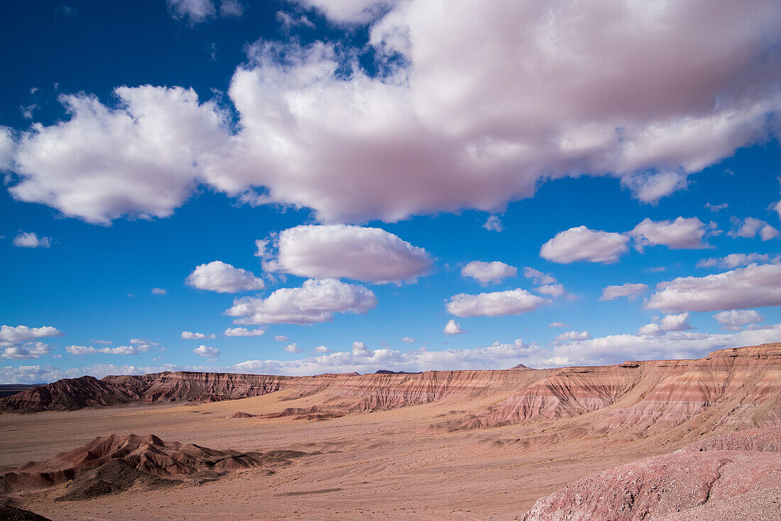 Americana landscape in the Arizona desert.