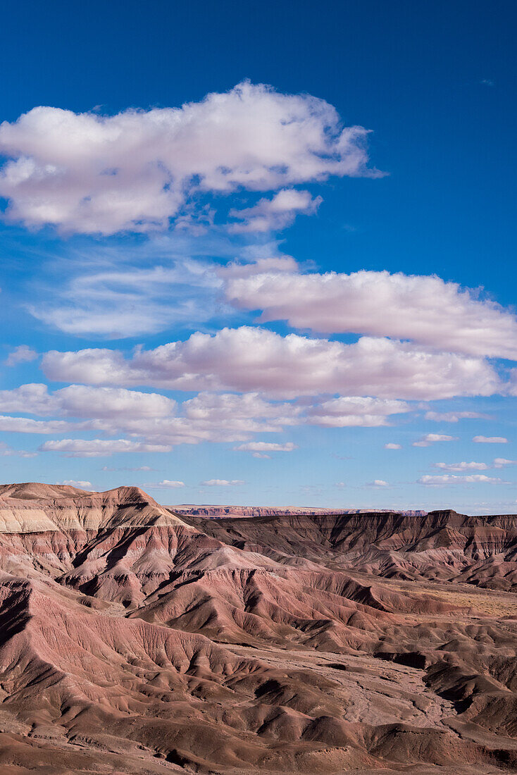 Vermillion Cliffs National Monument, Landschaft in der Wüste von Arizona, USA