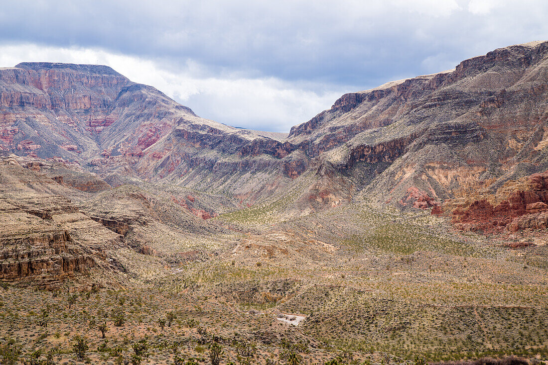 Die raue Landschaft der Mojave-Wüste in Nevada, USA.