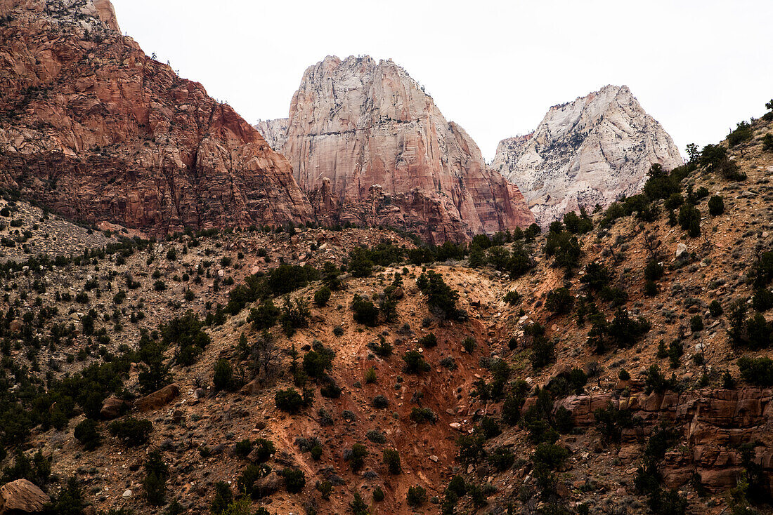 The landscape of the Zion National Park in Utah, USA.
