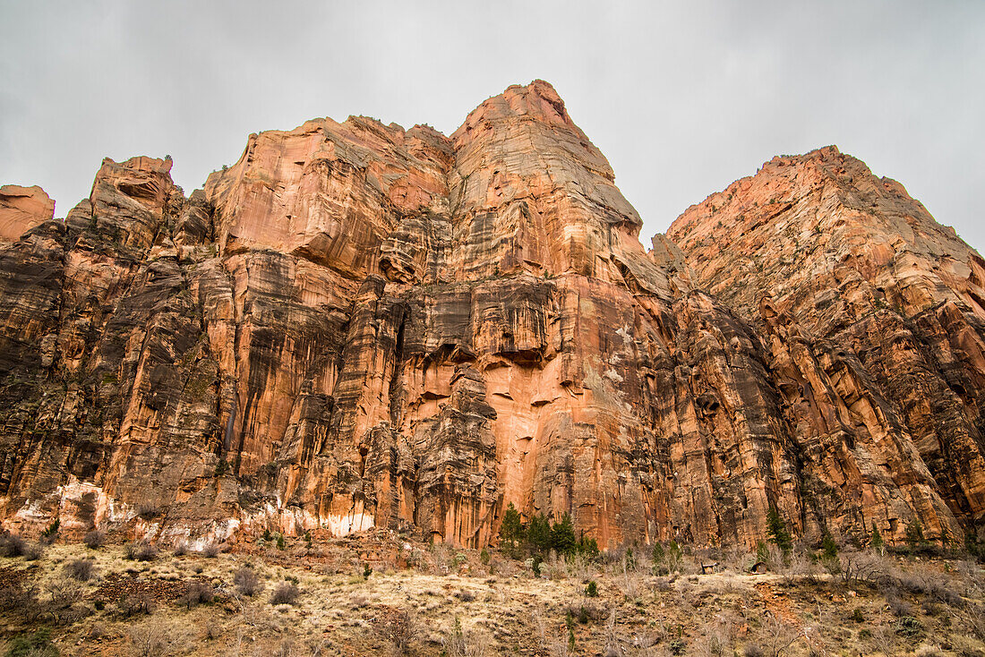 Die Landschaft des Zion-Nationalpark in Utah, USA.