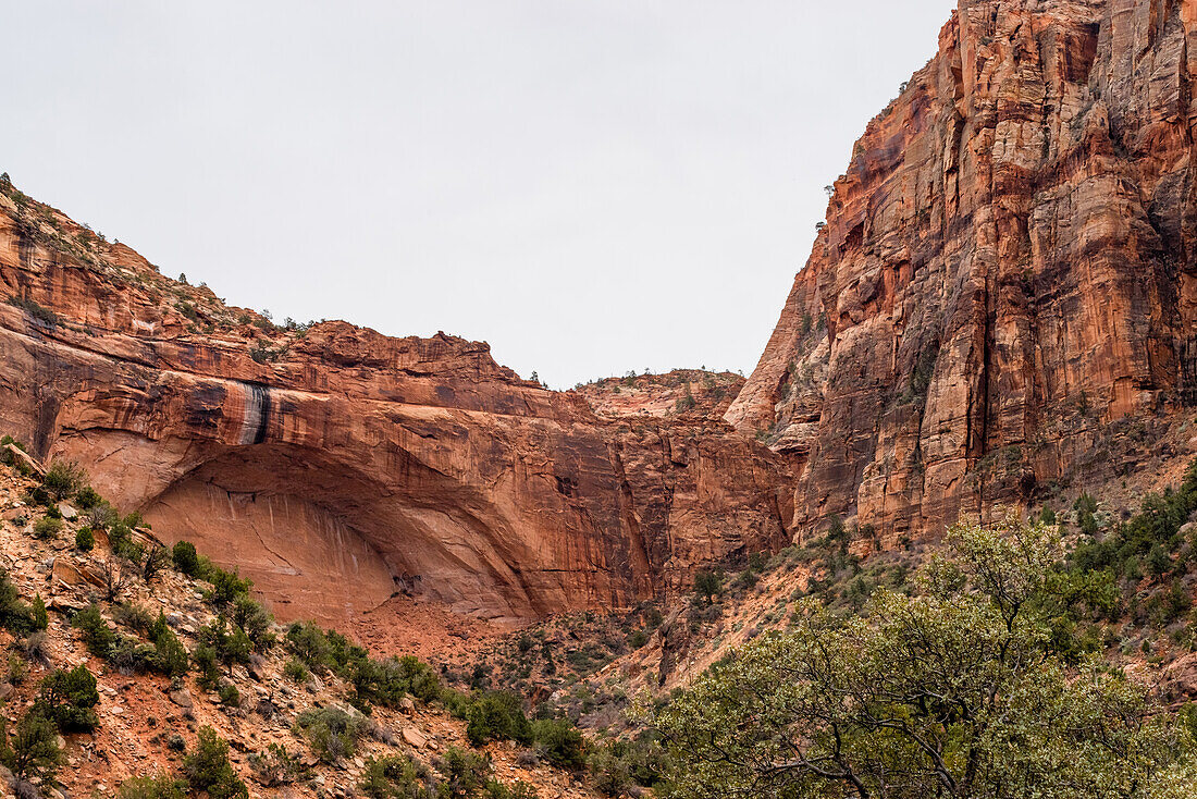 Die Landschaft des Zion-Nationalpark in Utah, USA.