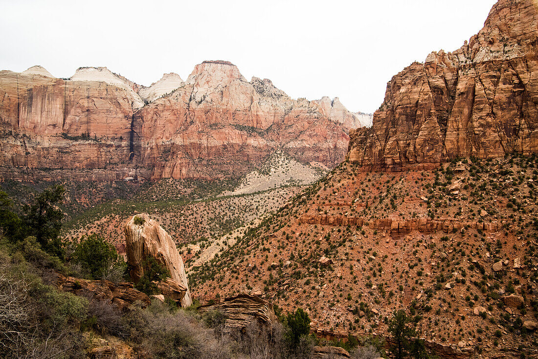 The landscape of the Zion National Park in Utah, USA.