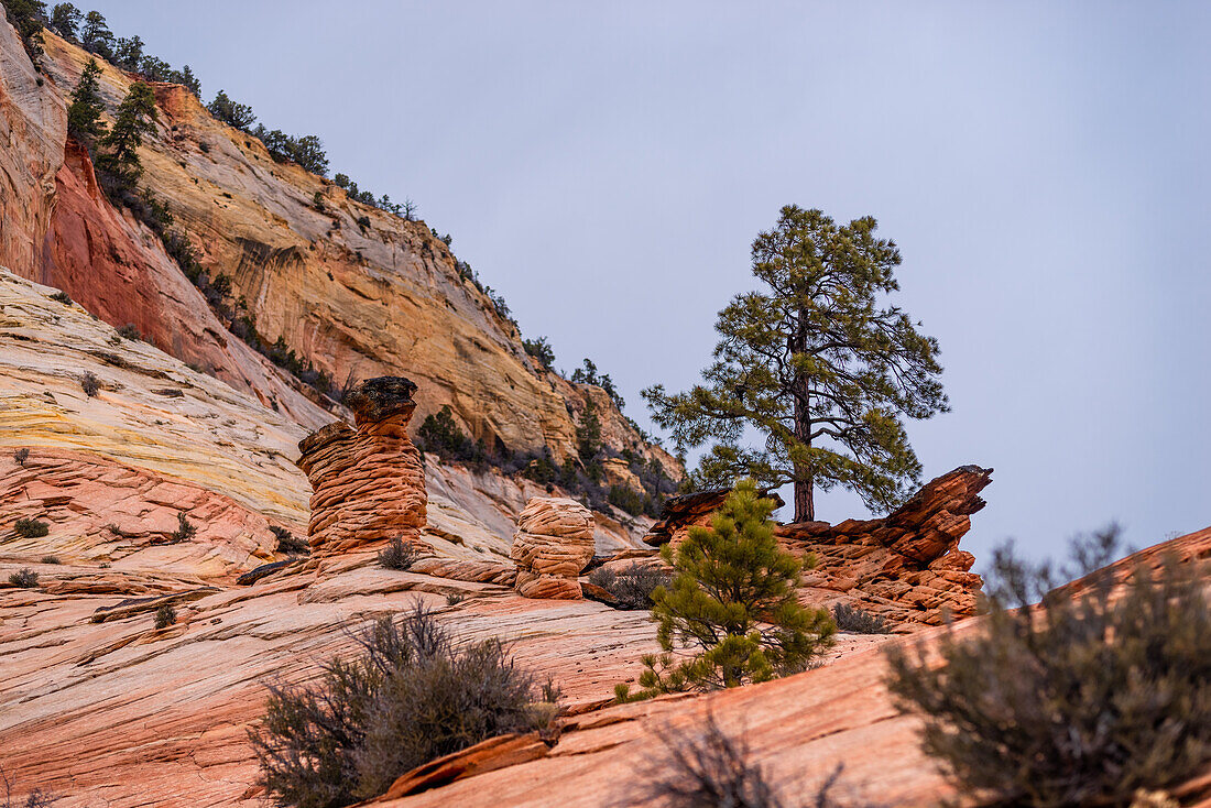 Erodierte Felsformationen in der Landschaft des Zion-Nationalpark in Utah, USA.