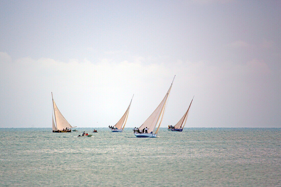 The Long Island Sailing Regatta takes place in June and is the second largest regatta in the Bahamas, Long Island, The Bahamas