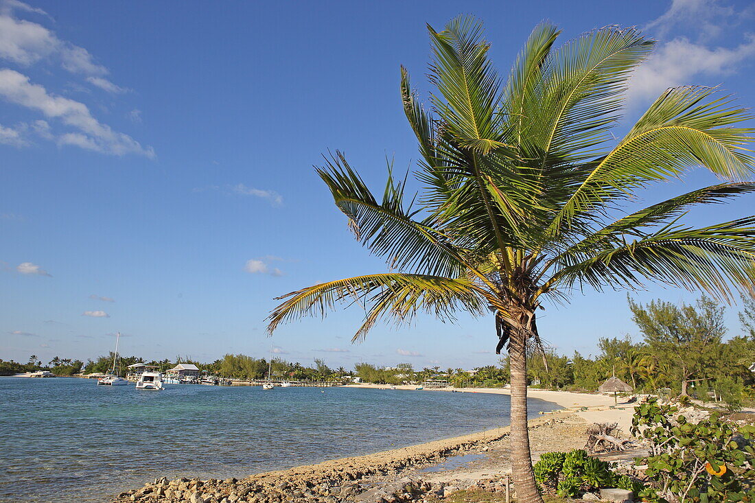 Beach, Little Harbour, Great Abaco, … – License image – 71437815 lookphotos