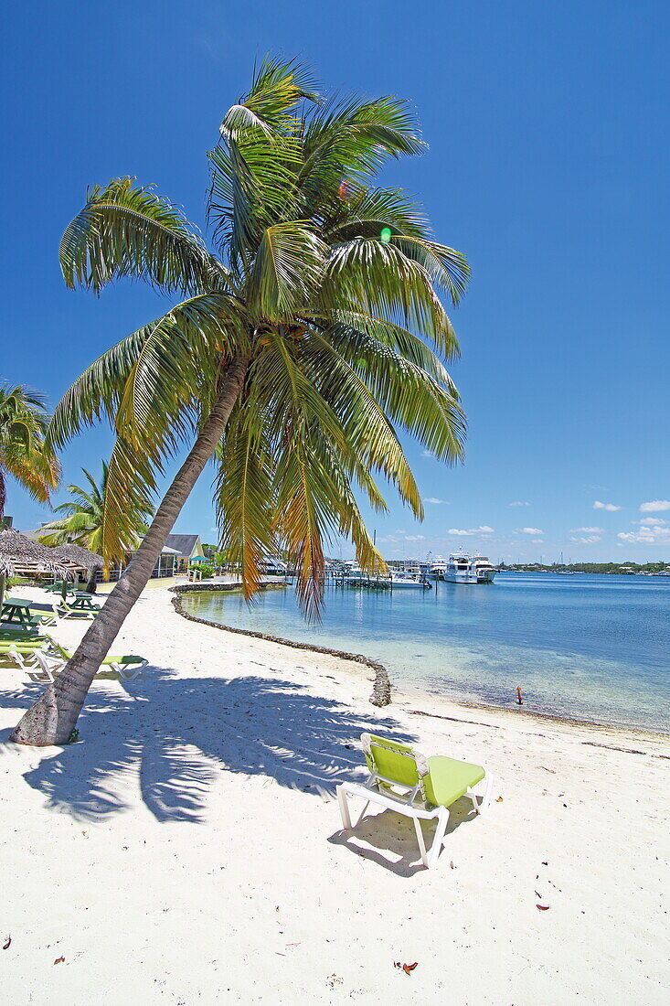 Green Turtle Club Resort and Marina, Green Turtle Cay, Abacos Islands, Bahamas