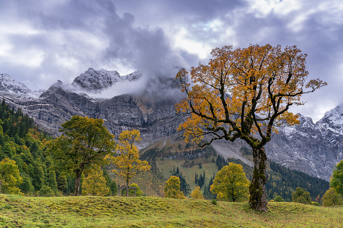 At the Großer Ahornboden in the autumnal Engalm area in Tyrol, Austria.