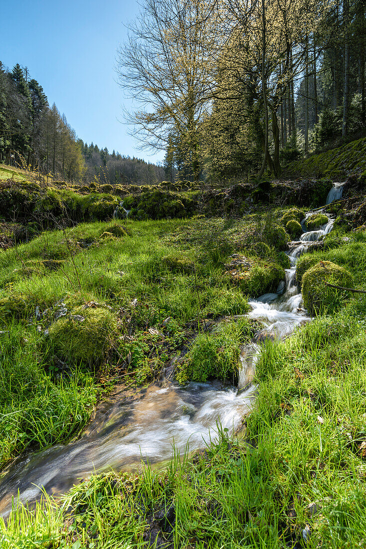 A small stream next to the hiking trail to Lautenfelsen, Gernsbach, Black Forest, Baden-Württemberg, Germany
