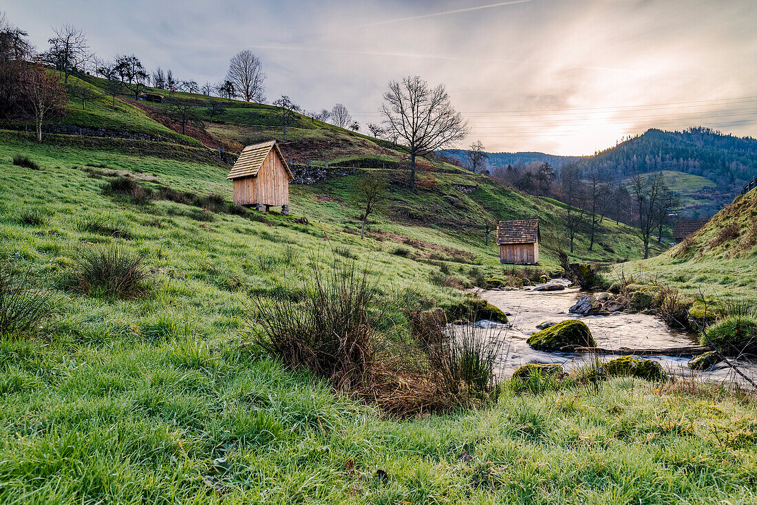 The Sersbach and wooden hay huts along the Ziegenweg, Forbach, Black Forest, Baden-Württemberg, Germany