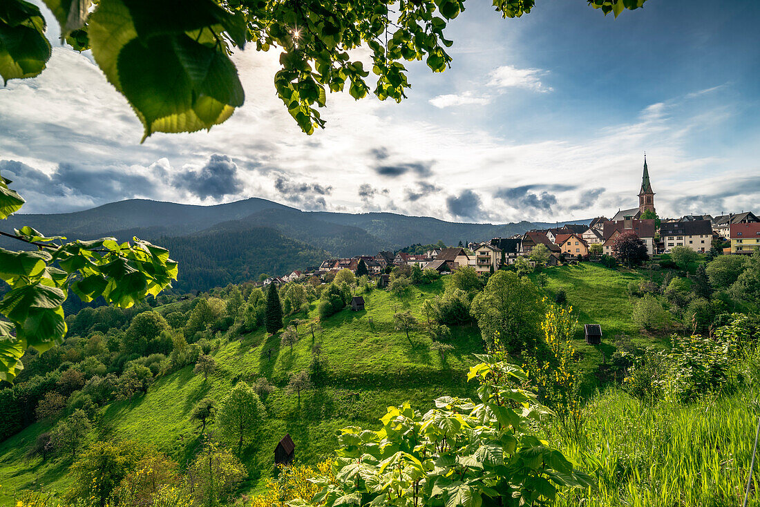 View of the Murg Valley and Bermersbach, Forbach, Black Forest, Baden-Württemberg, Germany