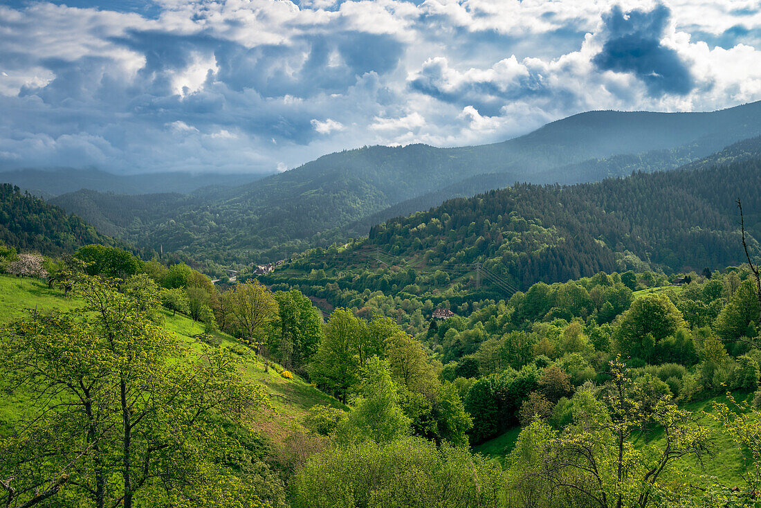 Panorama vom Murgtal bei Bermersbach mit dramatischem Himmel, Forbach, Schwarzwald, Baden-Württemberg, Deutschland