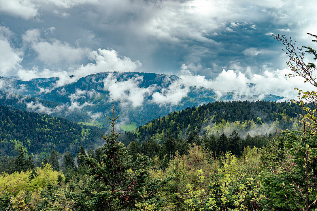 Aussicht von der Schwarzwaldhochstraße, bedeckter Himmel, Mummelsee, Hornisgrinde, Schwarzwald, Baden-Württemberg, Deutschland