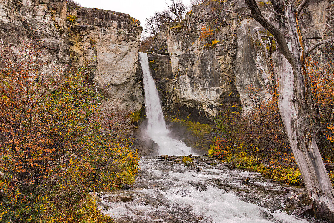 Der Wasserfall Chorrillo del Salto bei El Chalten in herbstlicher Felslandschaft, Argentinien, Patagonien