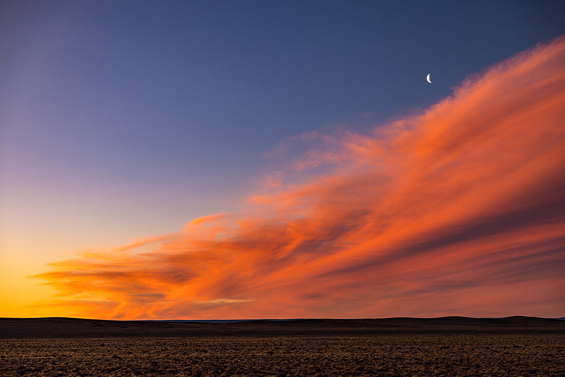 Spectacular afterglow with moon after sunset over the pampas of Argentina, Patagonia, South America