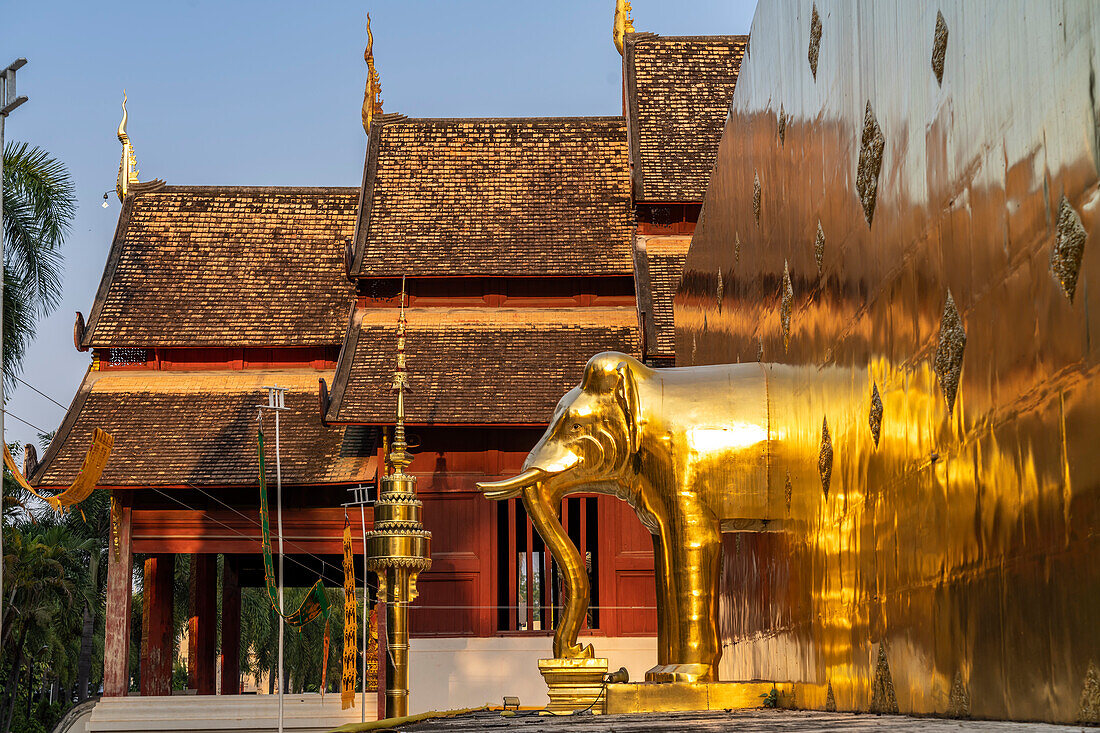 Elefant am Fuss des Goldenen Chedi Phrathatluang im Tempel Wat Phra Singh, Chiang Mai, Thailand, Asien  