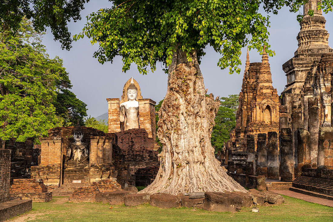 Buddha statues in central Buddhist temple Wat Mahathat, UNESCO World Heritage Sukhothai Historical Park, Thailand, Asia ia