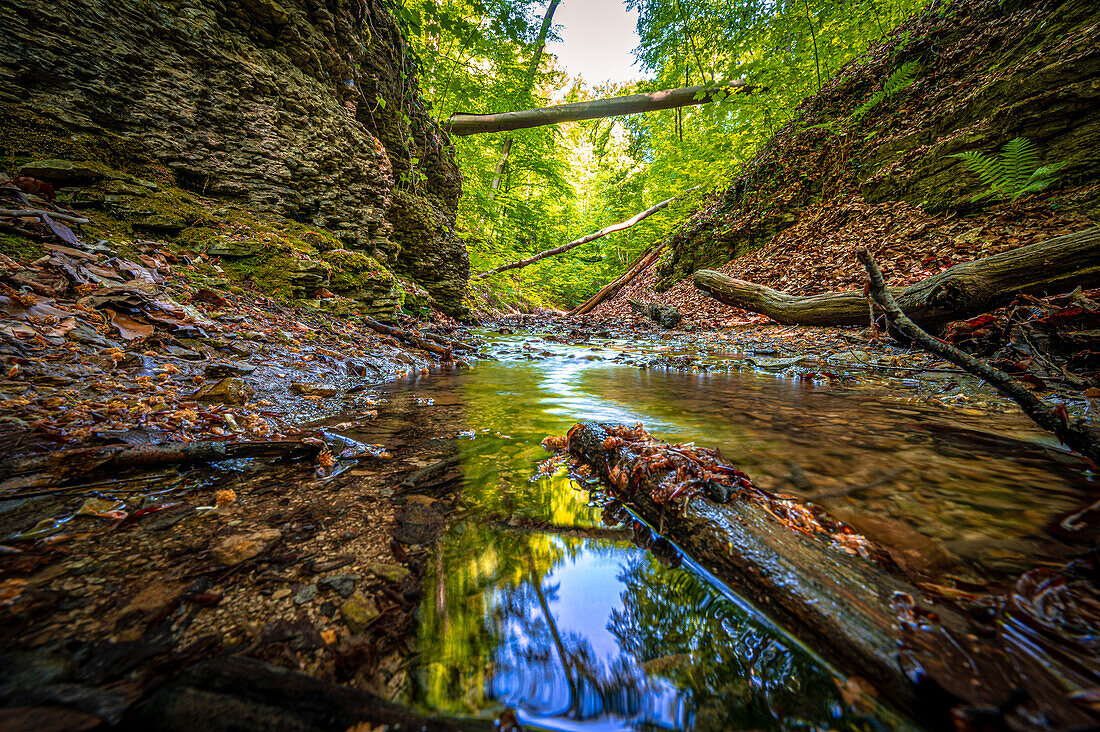 Small river with limestone cliffs and a mixed forest in the Rautal forest area, Jena, Thuringia, Germany