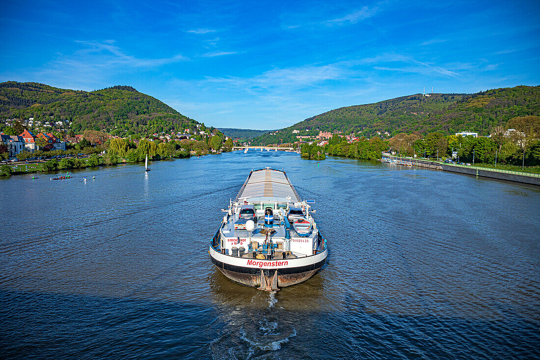 Neckar bei Heidelberg, Baden-Württemberg, Deutschland