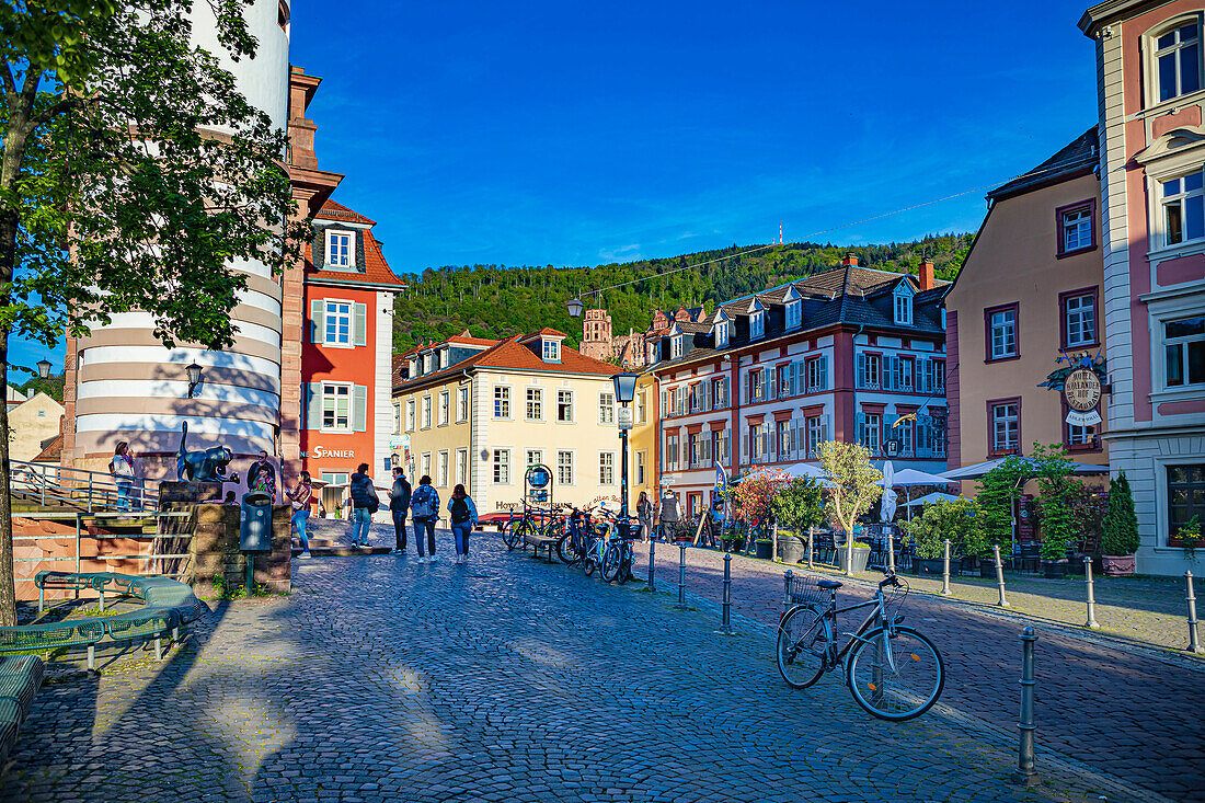 Neckarstaden in Heidelberg, Baden-Wuerttemberg, Germany