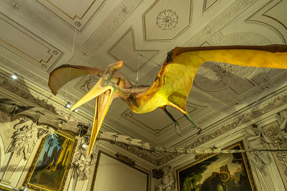Pteranodon model, pterosaur, Natural History Museum, Vienna, Austria, Europe