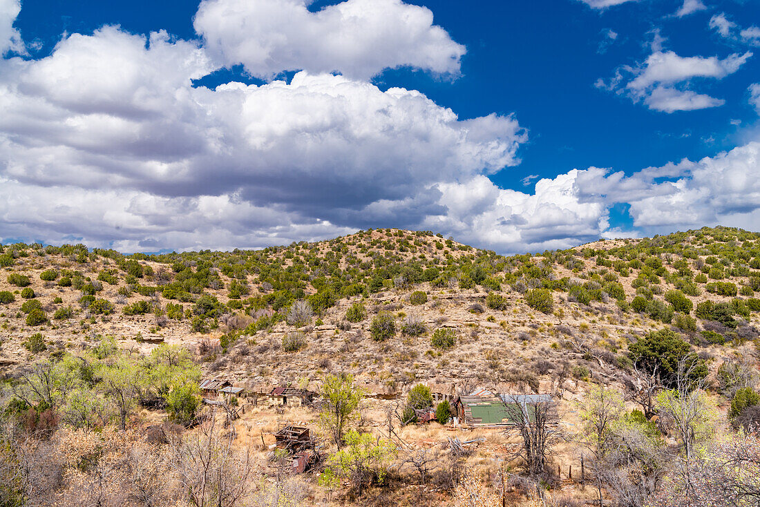 New Mexico desert landscape.