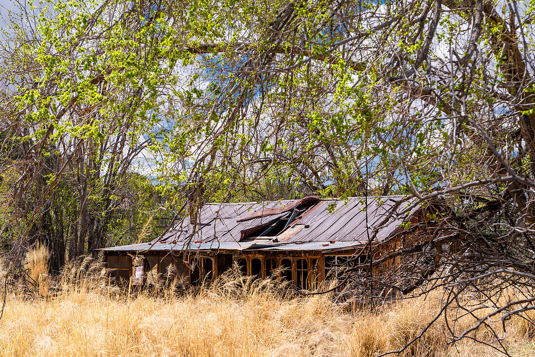 An abandoned shed near the Bridal Veils waterfalls in Cloudcroft, New Mexico.