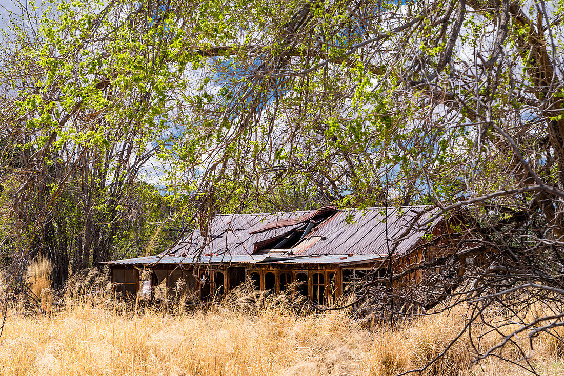 Ein verlassener Schuppen in der Nähe der Bridal Veils-Wasserfälle in Cloudcroft, New Mexico.