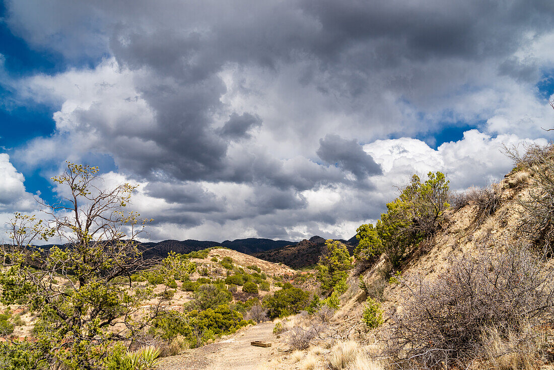 Wüstenlandschaft in New Mexico.