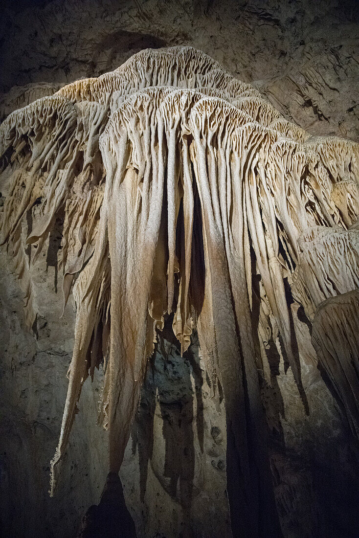 Stalagmiten, Stalaktiten und Felsformationen in den Höhlen der Carlsbad Caverns, New Mexico, USA