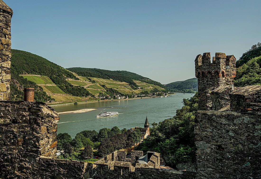 Blick von Burg Reichenstein auf das Rheintal bei Assmannshausen, Oberes Mittelrheintal, Rheinland-Pfalz, Deutschland