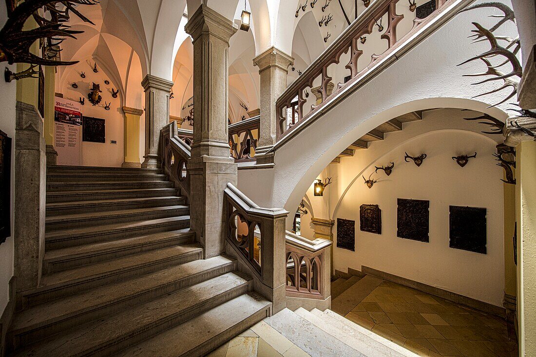 Jagdtrophäen im Treppenhaus, Burg Reichenstein, Trechtingshausen, Oberes Mittelrheintal, Rheinland-Pfalz, Deutschland