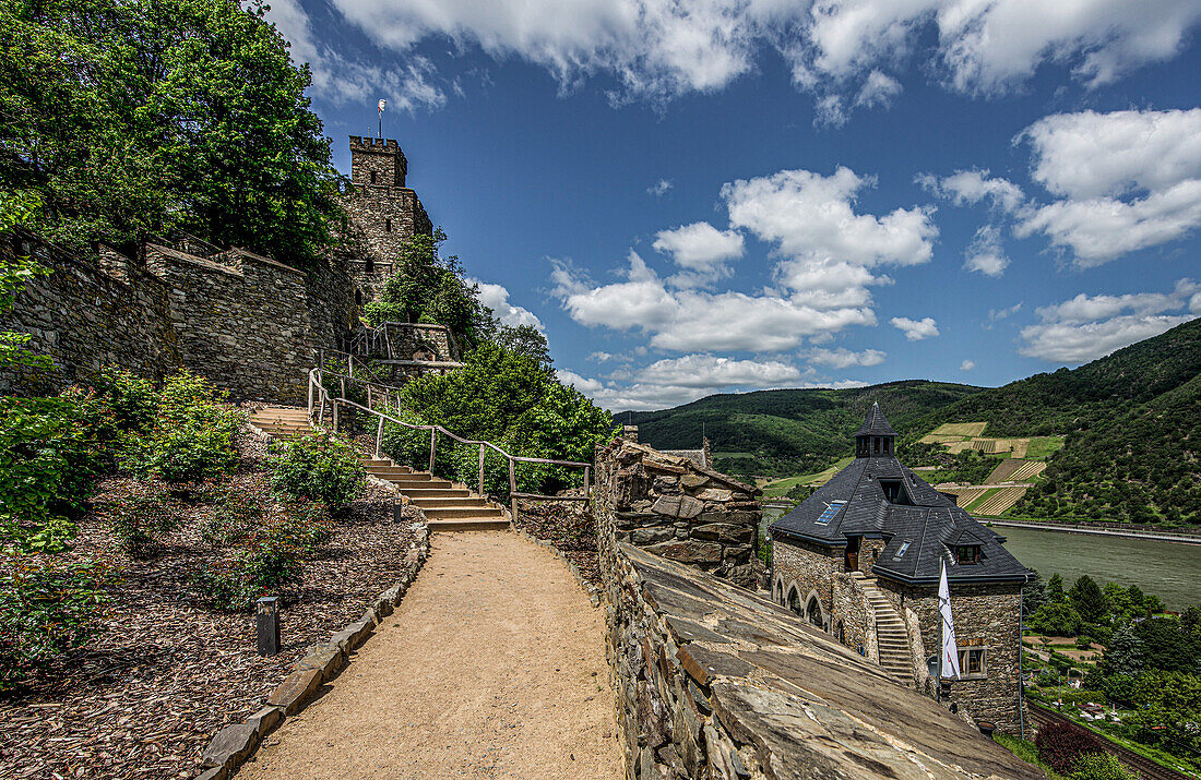 Weg zum Wachtturm Königstein, Burg Reichenstein, Trechtingshausen, Oberes Mittelrheintal, Rheinland-Pfalz, Deutschland