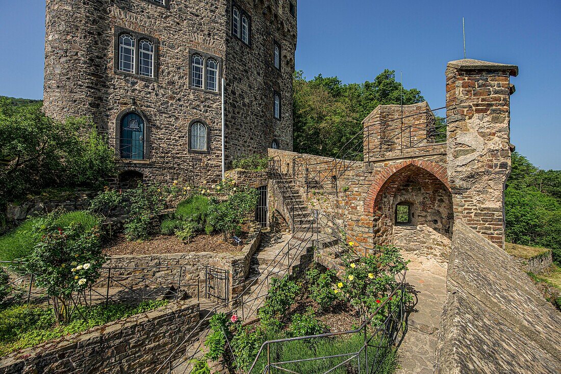 Front garden of the main castle with perron and rose garden, Niederheimbach, Upper Middle Rhine Valley, Rhineland-Palatinate, Germany