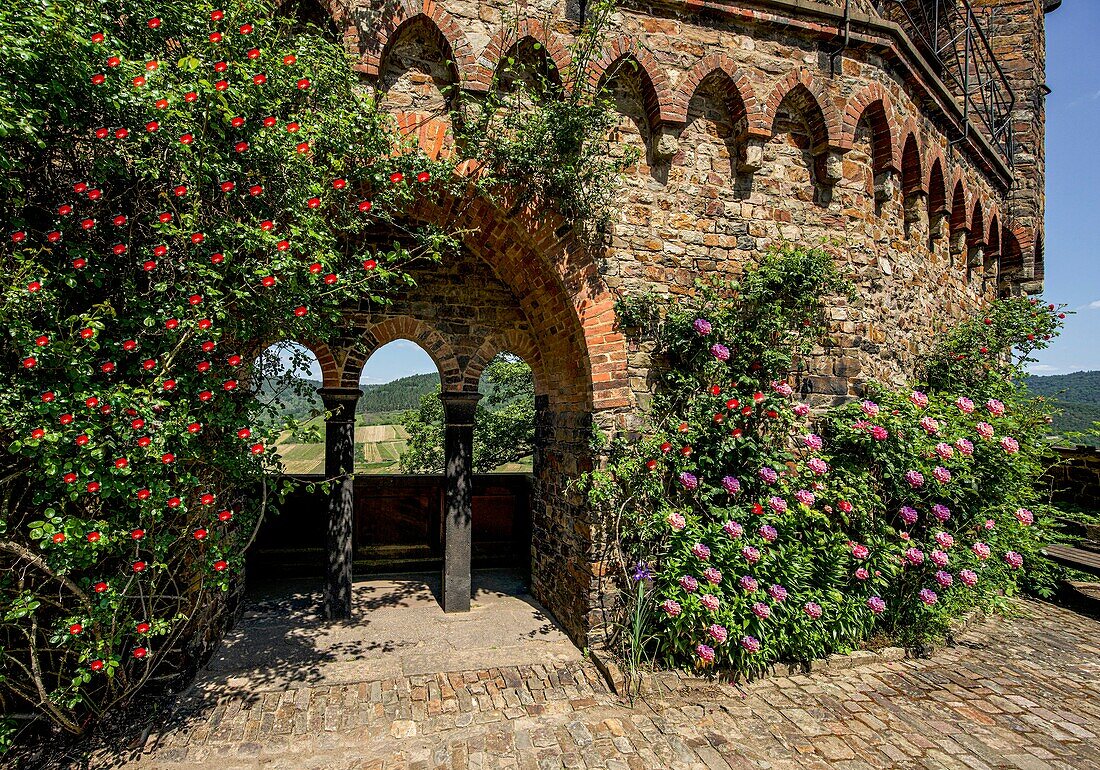 Burg Sooneck, Vorburg mit Rosen und Rundbogenfenstern, Niederheimbach, Oberes Mittelrheintal, Rheinland-Pfalz, Deutschland