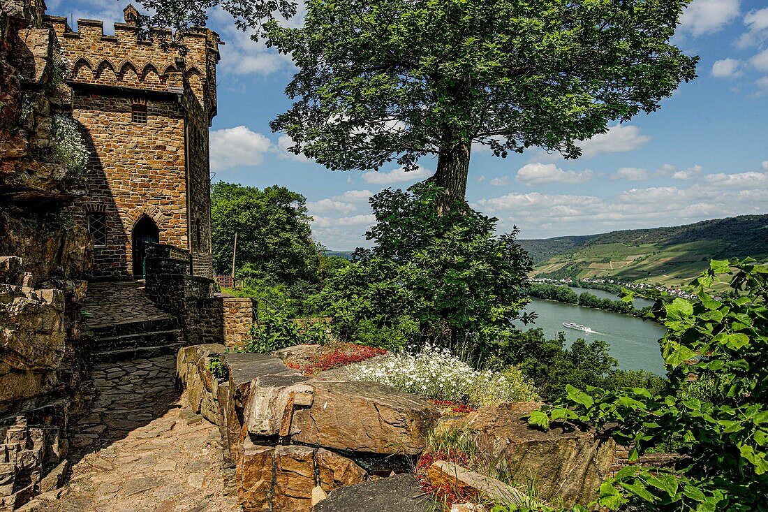 Sooneck Castle, view from the outer bailey and front garden onto a pleasure boat on the Rhine near Lorch, Niederheimbach, Upper Middle Rhine Valley; Rhineland-Palatinate, Germany