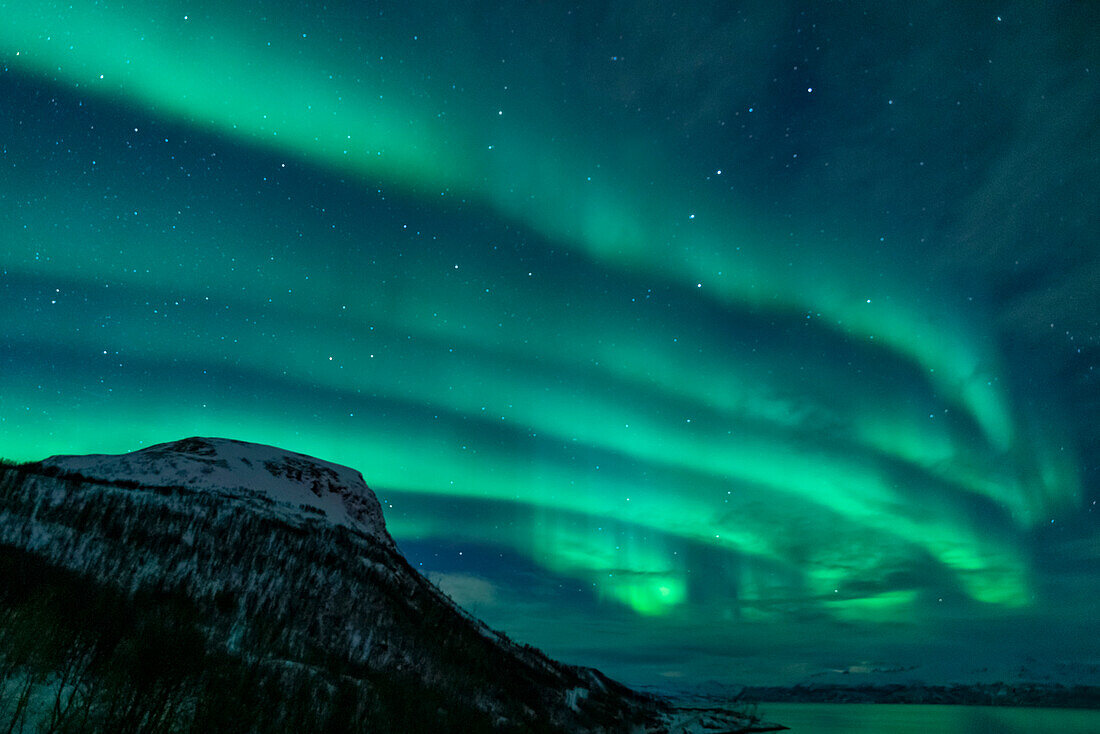 Polarlichter über der Fjordlandschaft der Lyngenalpen, Norwegen.
