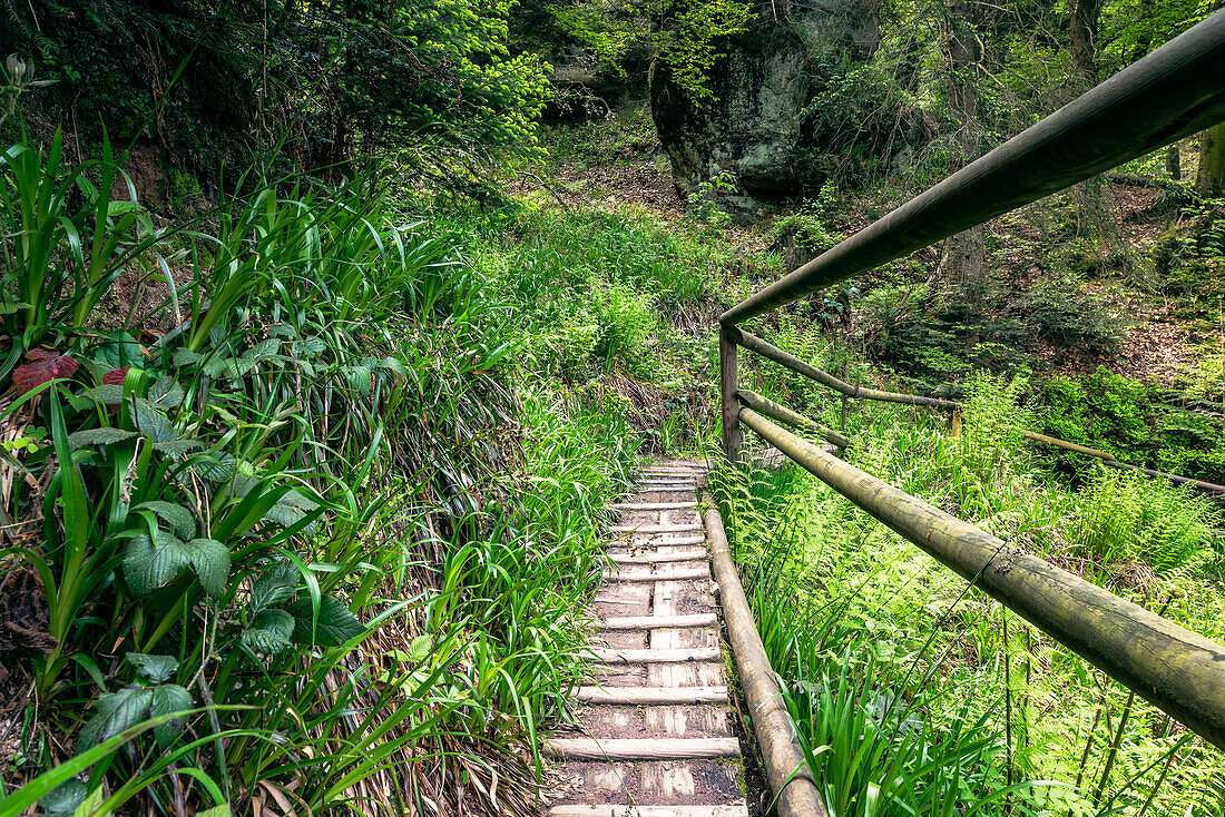 Wooden bridge on the hiking trail to the Teufelskammern, Loffenau, Black Forest, Baden-Württemberg, Germany