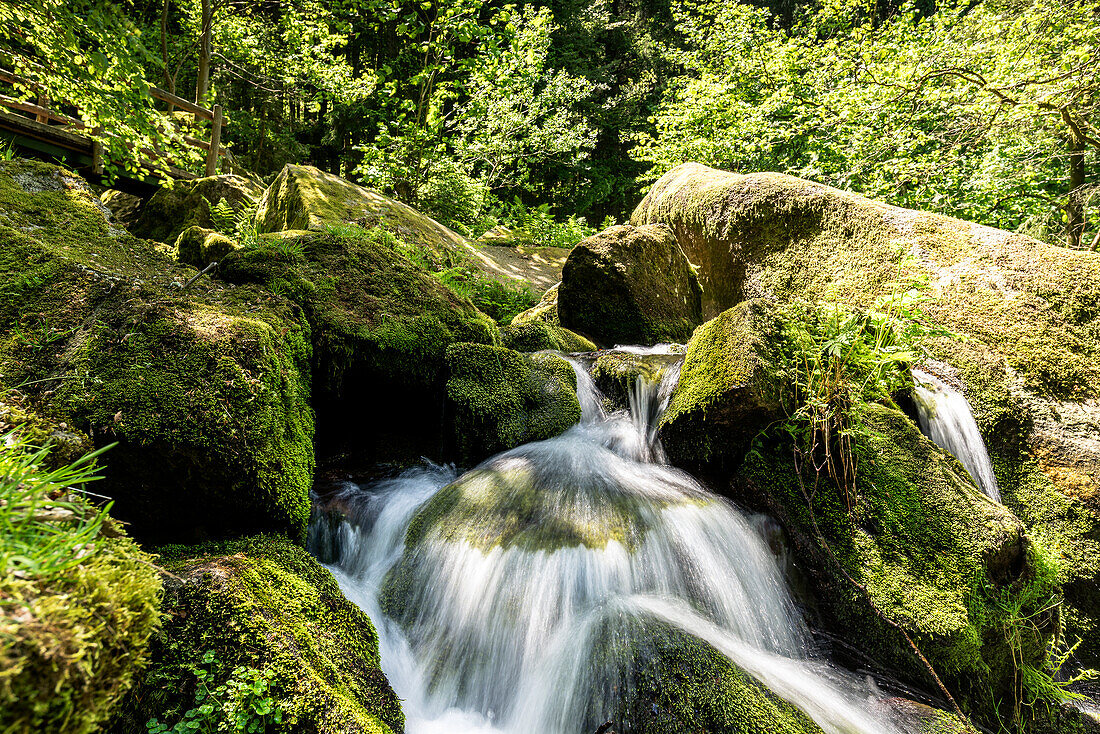 Gertelbach-Wasserfälle mit Holzbrücke im Hintergrund, Bühlertal, Schwarzwald, Baden-Württemberg, Deutschland