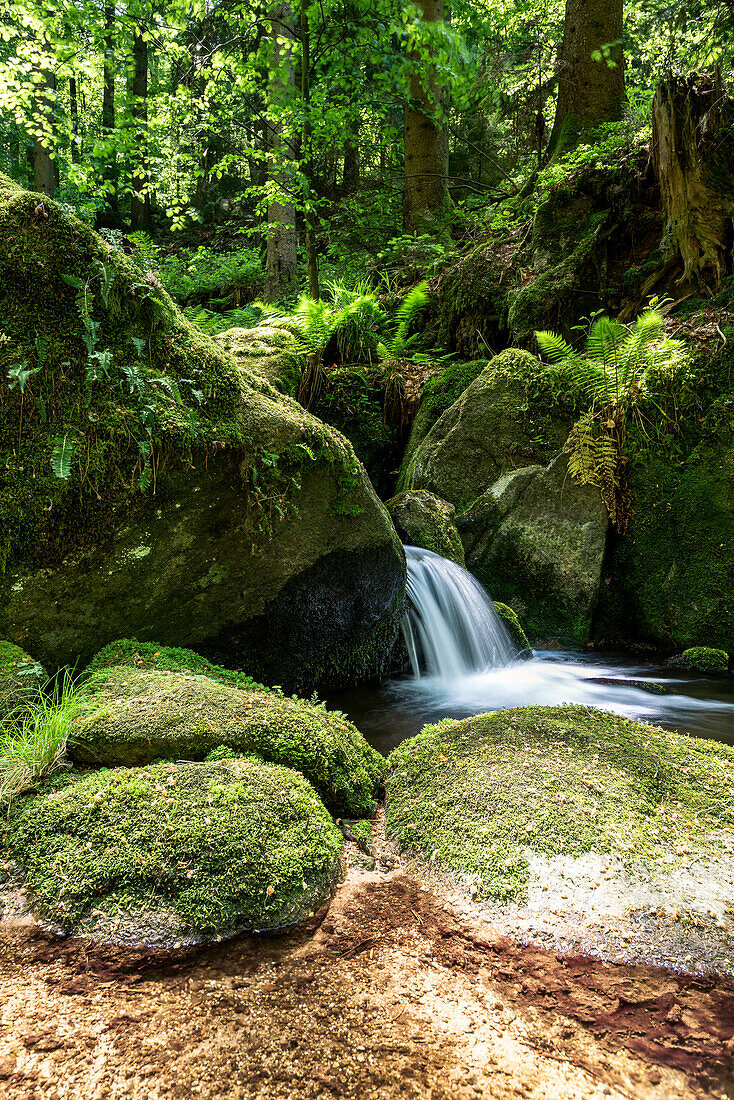 The Gertelbach Waterfalls, Bühlertal, Black Forest, Baden-Württemberg, Germany