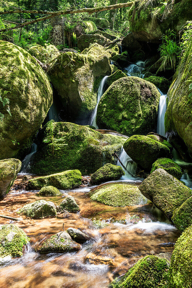 The Gertelbach Waterfalls, Bühlertal, Black Forest, Baden-Württemberg, Germany